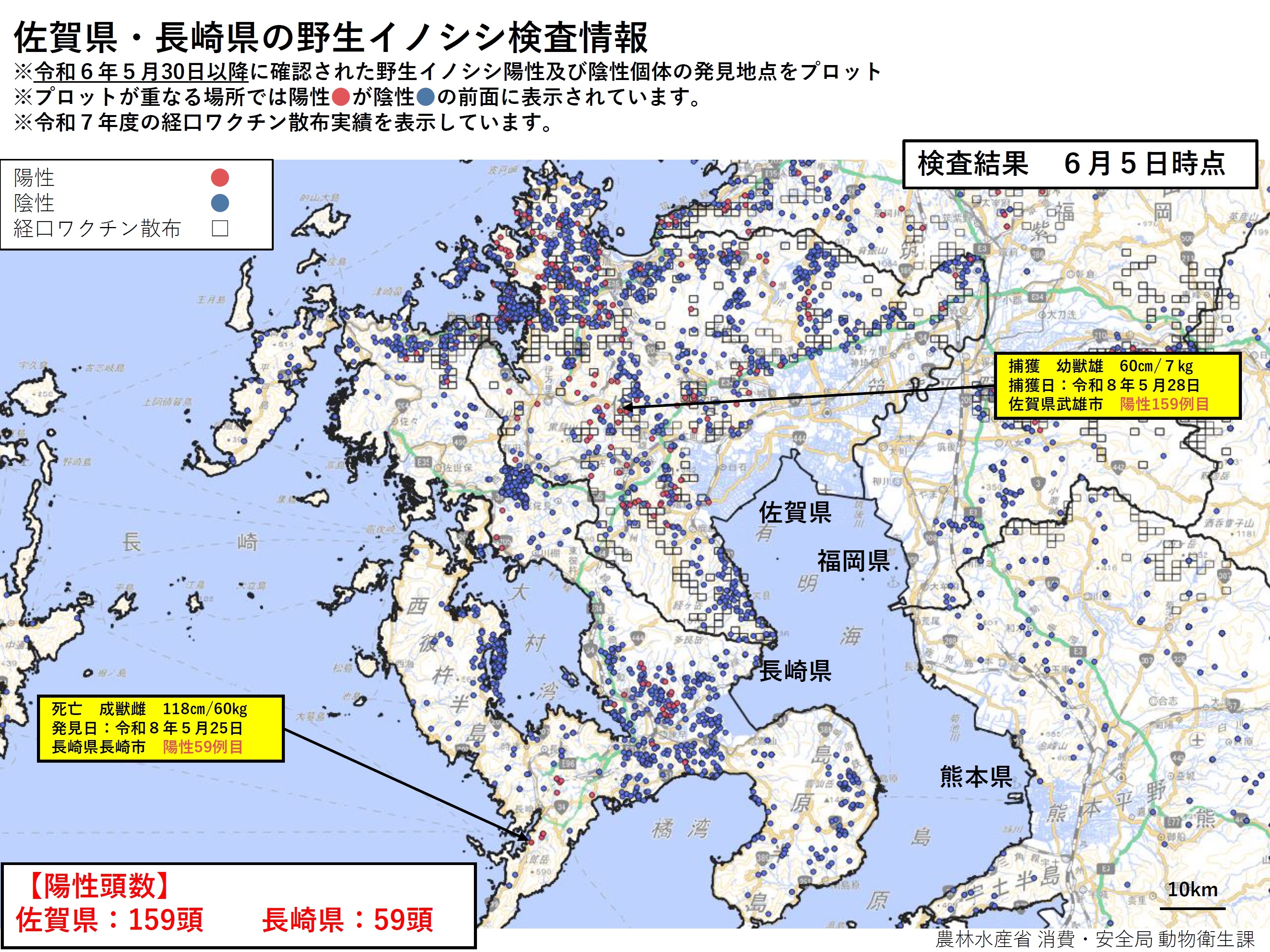 20260605九州野生イノシシ定例検査情報.jpg