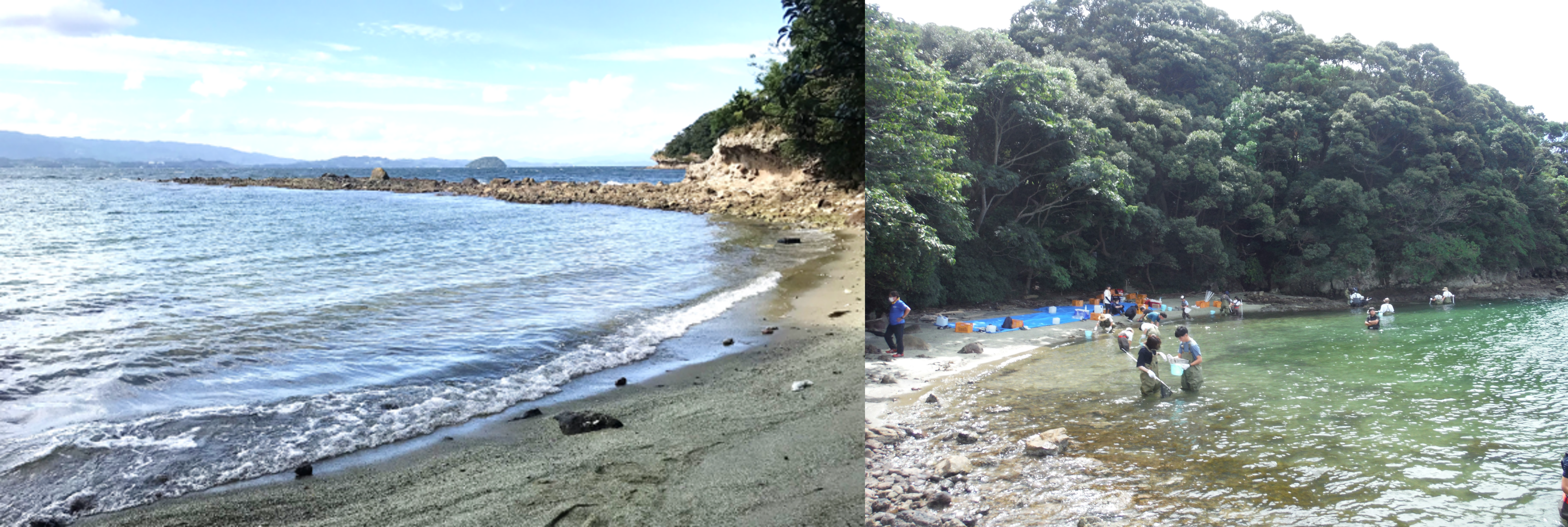 HP用(時津)
