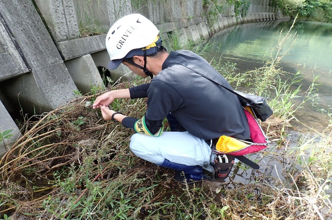 種子採取1.jpg