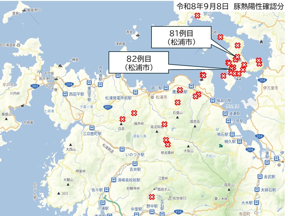 260908いのしし陽性1.JPG