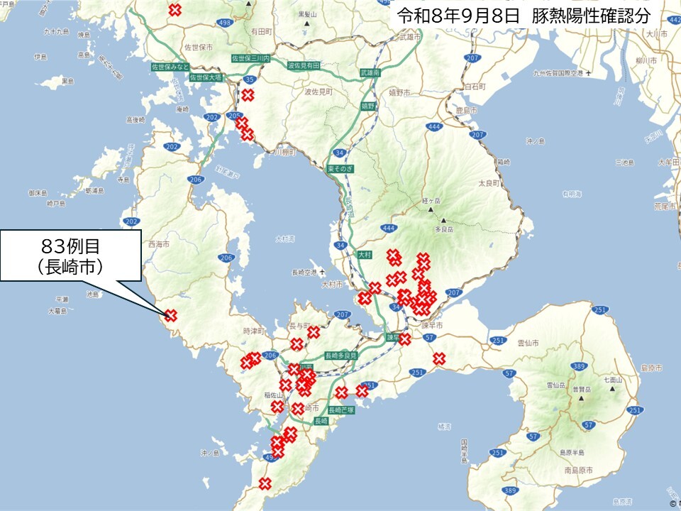 260908いのしし陽性2.JPG
