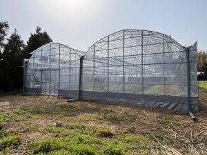 令和6年度に新設した、寒害被害防止のための簡易ハウス A.jpg