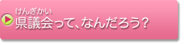 県議会って、なんだろう？