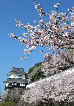 観光情報の背景画像