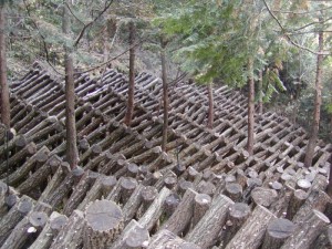林内ほだ場