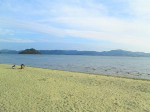 ガラスの砂浜の様子