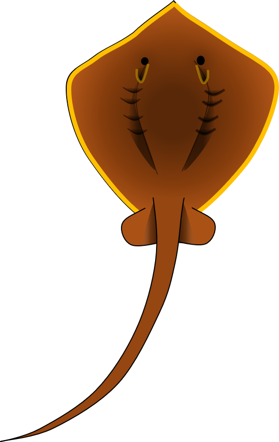 エイのイラスト