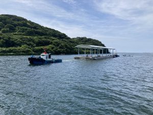 IMG_8259