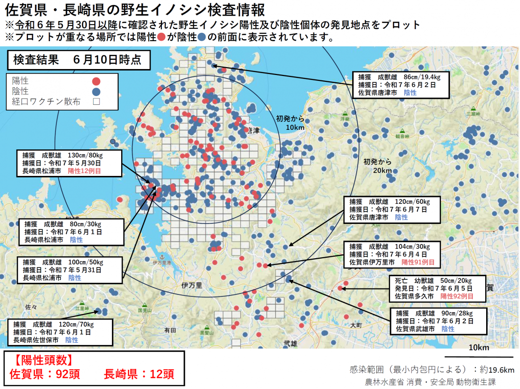 野生イノシシ検査状況