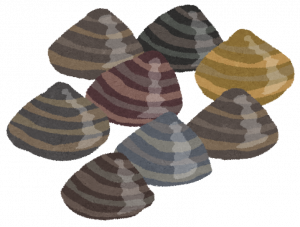 アサリのイラスト
