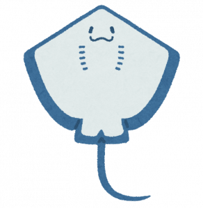 エイのイラスト