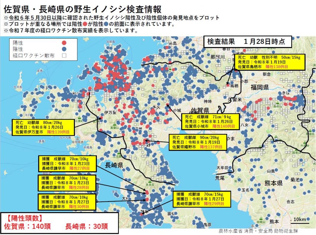 20260128野生イノシシ検査情報