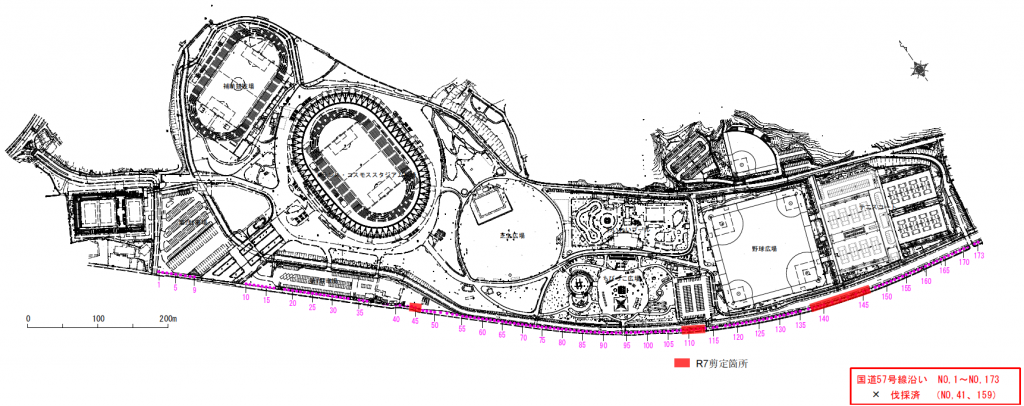 メタセコイア剪定箇所平面図