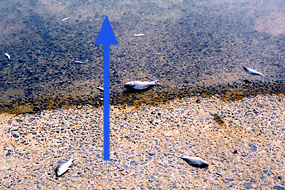 平成6年7月19日 潮止堰