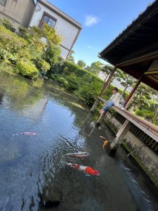 活動写真:湧水庭園「四明荘」島原市にて