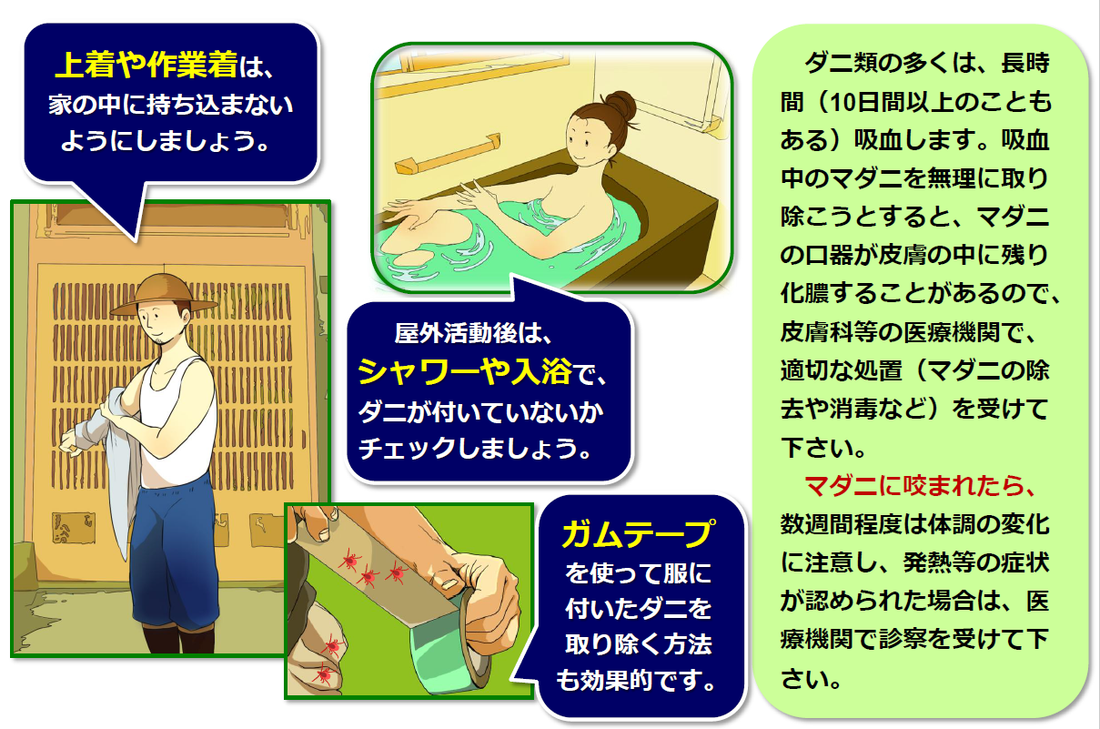 マダニから身を守る方法