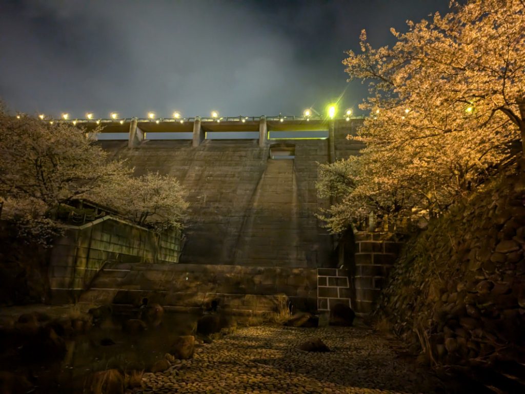 西山ダムと夜桜　ダム下流より