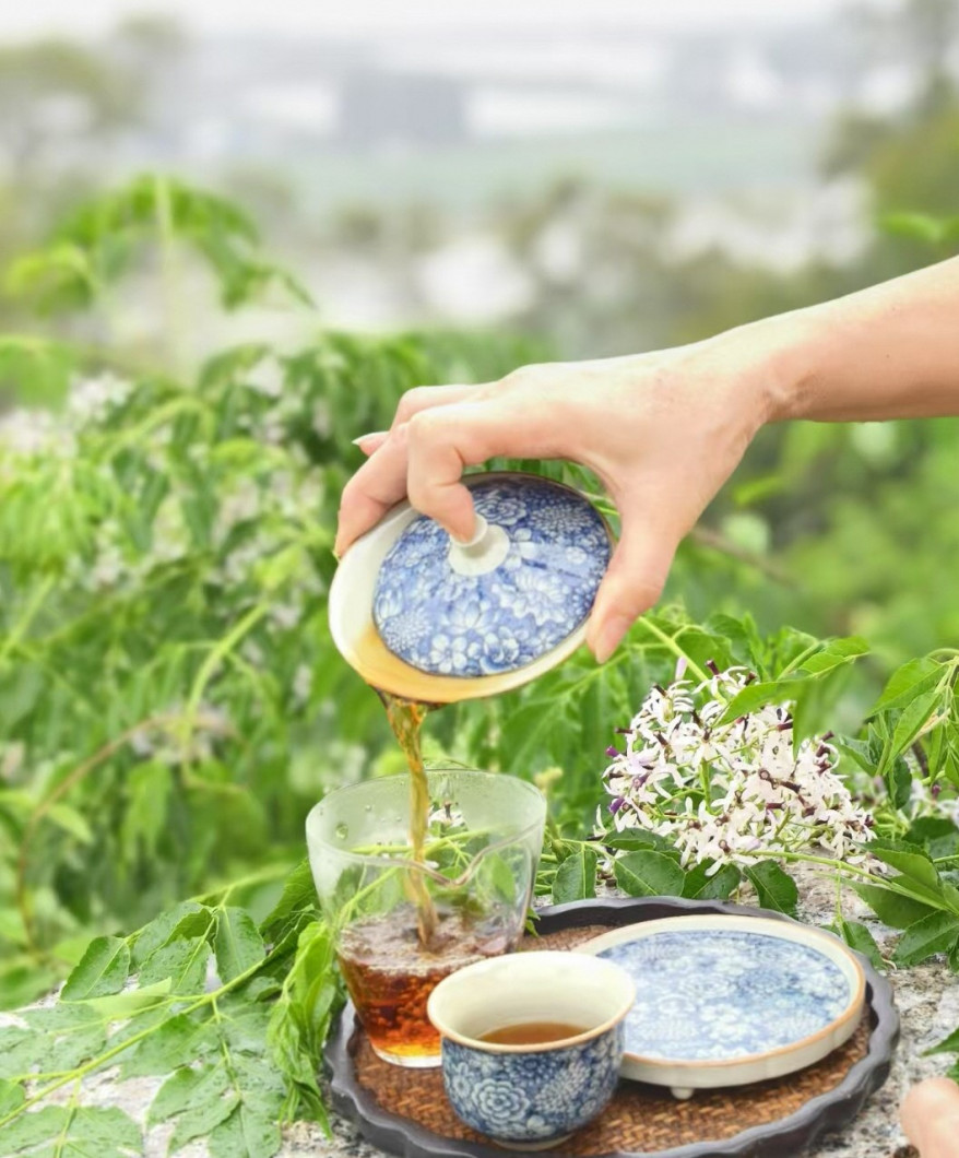 mmexport174582096303