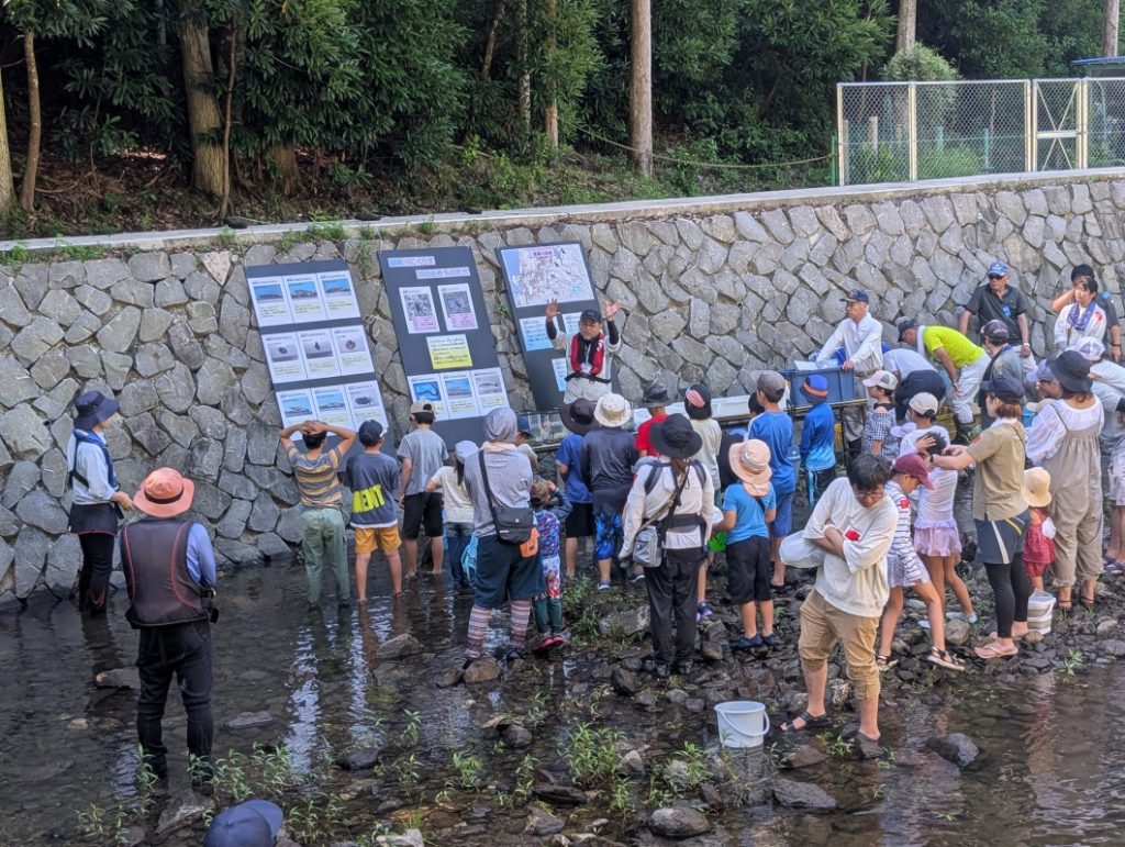 PXL_20250721_003427355.MP