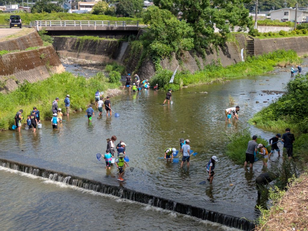 PXL_20250726_003521939.MP