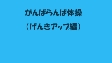 がんばらんば体操・元気アップ編（16分49秒）